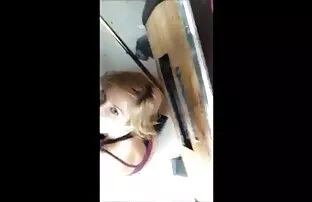 XXX მოყვარული,, იაპონელი,